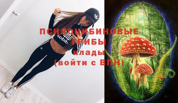крисы Аркадак