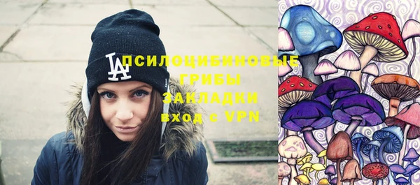 стаф Арсеньев