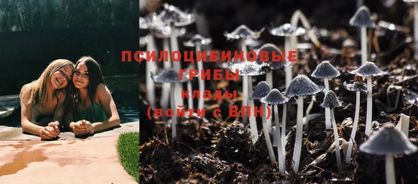 крисы Аркадак